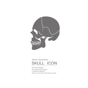 Vector drawn skull. Isolated on white background. Stock Illustration