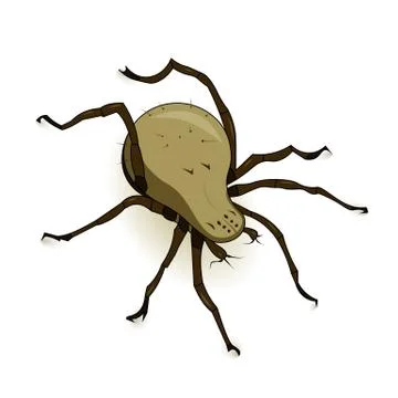 Vector Dust Mite Parasite Stock Illustration