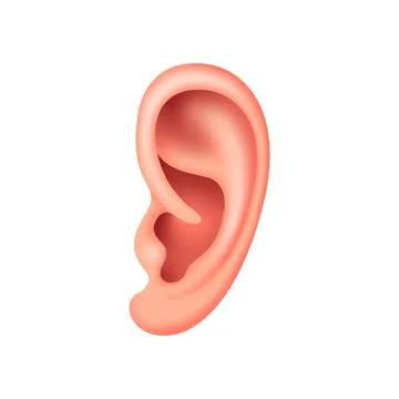 Vector ear in mesh gradient style. Editable illustration Stock Illustration