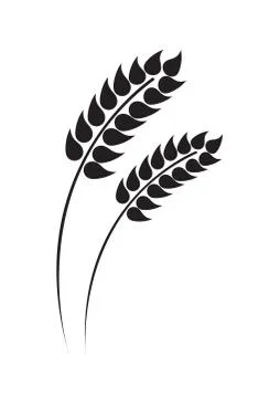 Vector Ears Of Wheat Stock Illustration