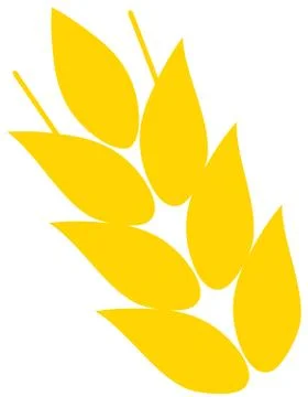 Vector Ears of Wheat Stock Illustration