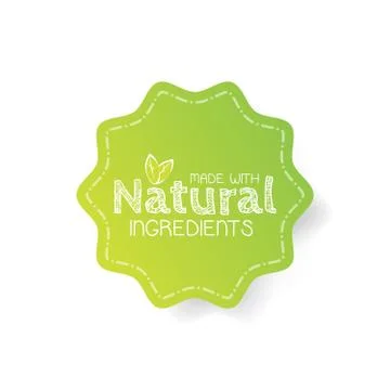 Vector eco labels with sketch drawing design elements Illustrazione stock