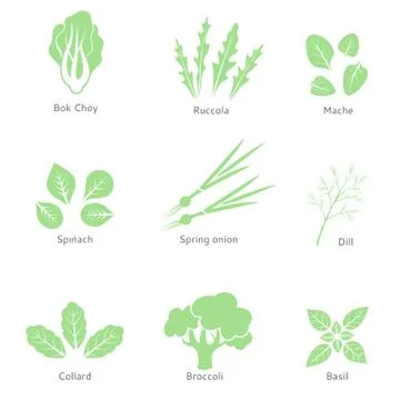 Vector eco, organic, bio logos or signs. Salad bar. Green salad leaves Stock Illustration