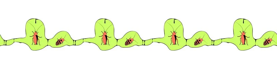 Vector edging, ribbon, border of oriental and madagascar cockroaches, beetles Illustrazione stock