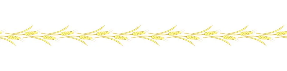 Vector edging, ribbon, border from outline golden wheat spikelets ears in d.. イラスト素材