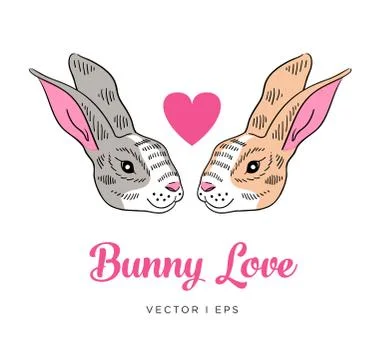 Vector editable image depicting a couple of rabbits in love. Isolated on whit Stock Illustration