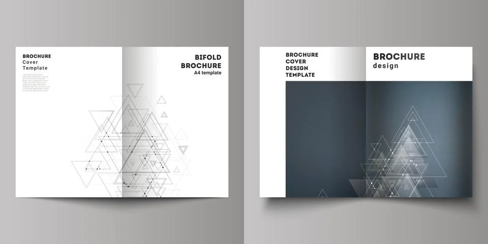 Vector editable layout of two A4 format cover mockups design templates for Stock Illustration