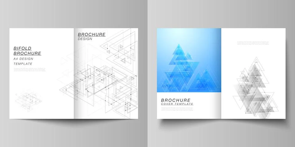Vector editable layout of two A4 format cover mockups design templates for Stock Illustration