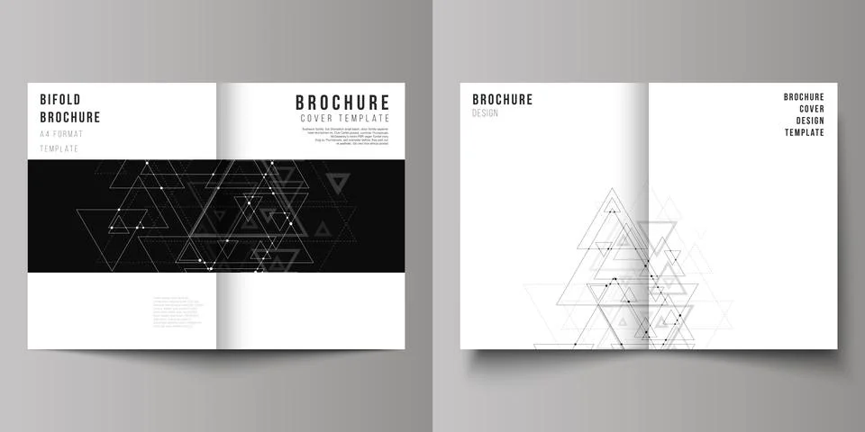 Vector editable layout of two A4 format cover mockups design templates for Stock Illustration