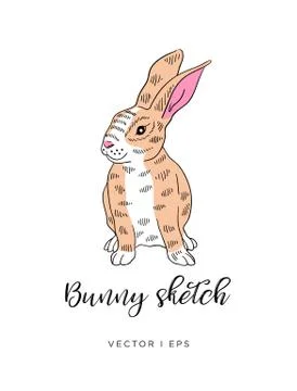 Vector editable sketch of a cute rabbit on a white background. Hand drawn ske Stock Illustration