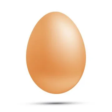 Vector egg Illustrazione stock