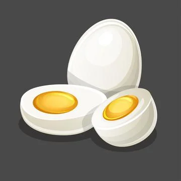 Vector egg whole and two half on gray Stock Illustration