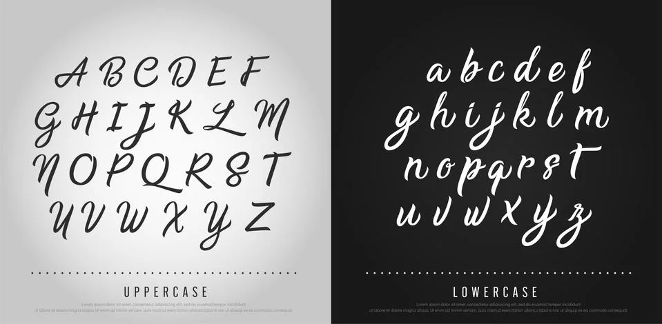 Vector elegant alphabet letters set. Exclusive Custom Letters Stock Illustration