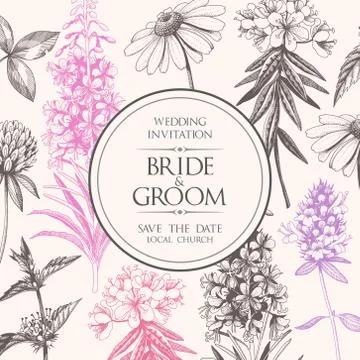 Vector elegant wedding card with meadow flowers Stock Illustration