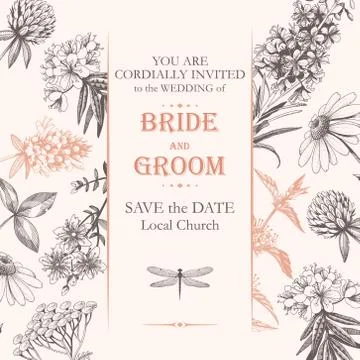 Vector elegant wedding card with meadow flowers Stock Illustration