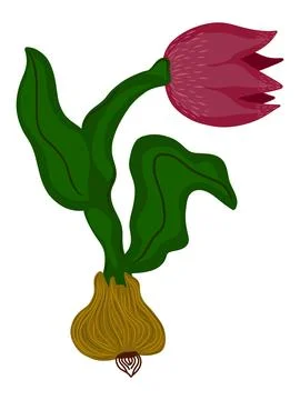 Vector element hand drawn flat cartoon style. Stylized floral arrangement for Stock Illustration