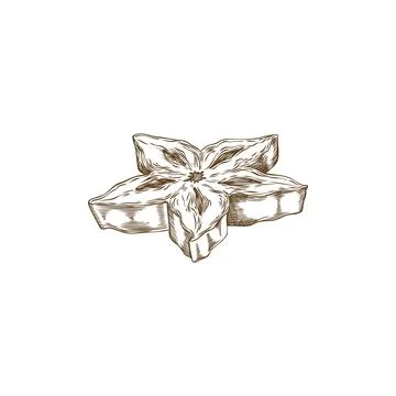 Vector element with a piece of sweet and sour carambola fruit in the form of  Stock Illustration
