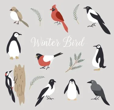 Vector elements. Set of cute winter birds isolated on white background. Stock Illustration