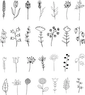 Vector elements. Set of plants and flowers. Outline sketched style. Illustrazione stock