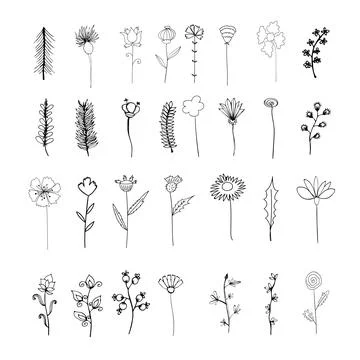 Vector elements. Set of plants and flowers. Outline sketched style. 스톡 일러스트