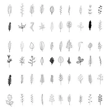 Vector elements. Set of plants. Outline drawing. Stockillustratie
