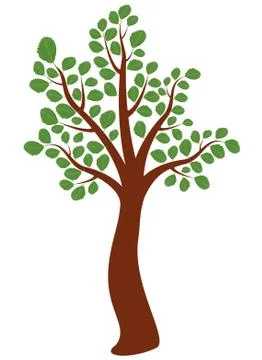 Vector elm tree Stock Illustration
