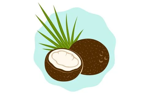 Vector emblem of coconut with palm leaf in retro style. Vector illustration o Stock Illustration