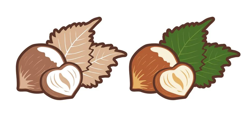 Vector emblems hazelnuts Stock Illustration