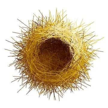 Vector empty birds nest. Top view Stock-Illustration