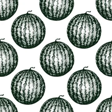 Vector engraving seamless pattern with highly detailed hand drawn watermelon Stock Illustration