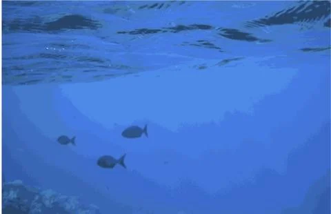 Vector Eps8 Abstract Background with Fish Under the Surface Stock Illustration