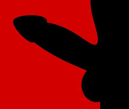 Vector of erected penis. Function of man genital during sexual arousal - erec Stock Illustration