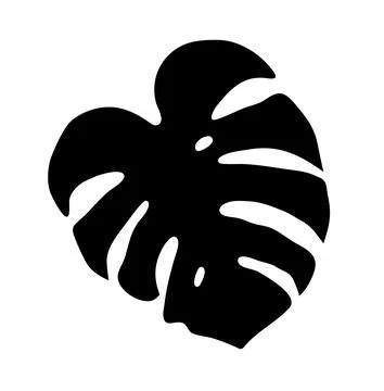 Vector essence black exotic silhouette of monstera deliciosa leaf, capturing the Stock Illustration
