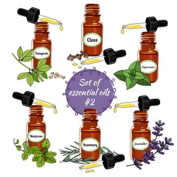 Vector essential oils . Fifth set. Stock Illustration