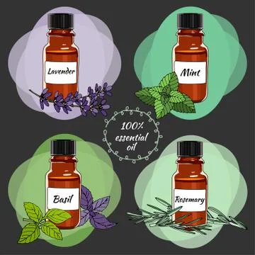 Vector essential oils. First set Stock Illustration