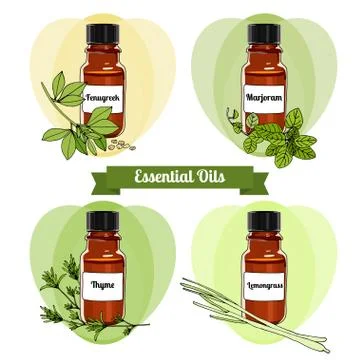 Vector essential oils. Fourth set. Stock Illustration