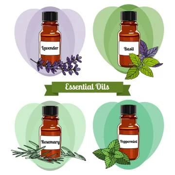 Vector essential oils. second set. Stock Illustration