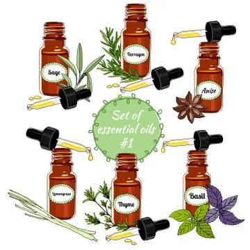 Vector essential oils set . sixth set. Stock Illustration