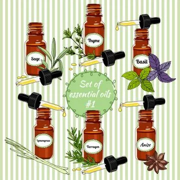 Vector essential oils . Seventh set. Stock Illustration