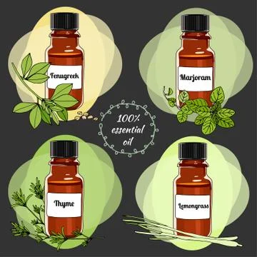 Vector essential oils. Third set Ilustração Stock