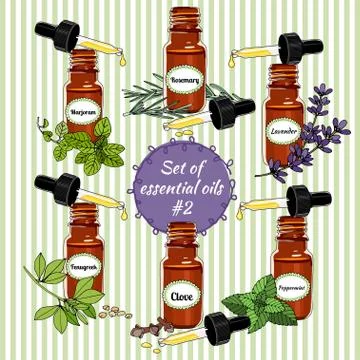 Vector essential oils.Fourth set. Stock Illustration