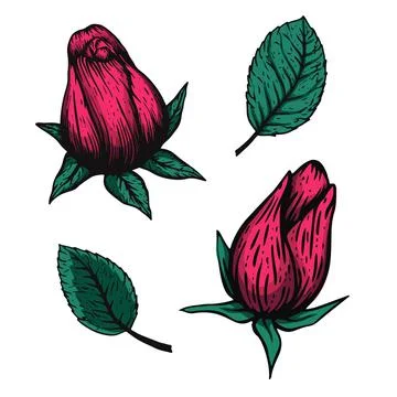 Vector etching handdrawn tatoo style rose illustration. Great for fabric, print Stock Illustration