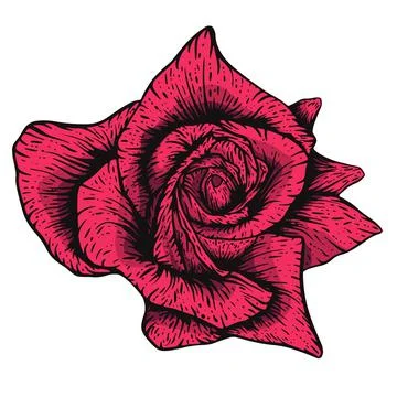 Vector etching handdrawn tatoo style rose illustration. Great for fabric, print Stock Illustration