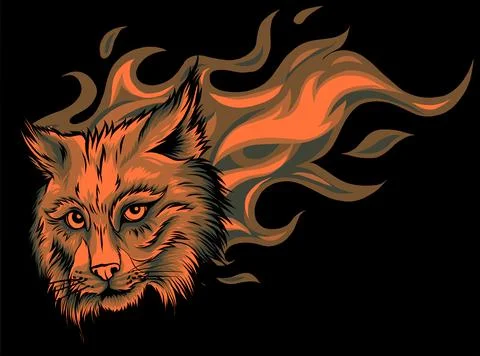 Vector Eurasian lynx cat head with flames. Stock-Illustration