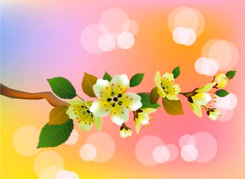Vector. Evening in the garden blooming cherry Stock Illustration