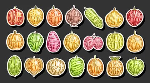 Vector Exotic Fruit Set Иллюстрация