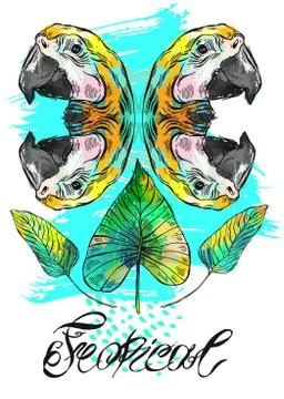 Vector exotic hand drawn abstract background with parrots mirror reflection,palm Stock Illustration