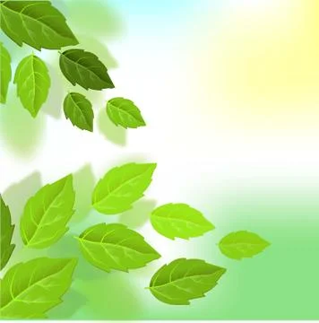 Vector exotic summer background. Leaf texture pattern background. Eco design  イラスト素材