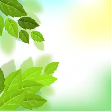 Vector exotic summer background. Leaf texture pattern background. Eco design  Stock Illustration