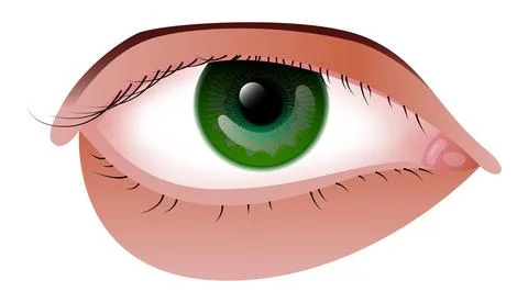 Vector eye in gradient style Stock Illustration